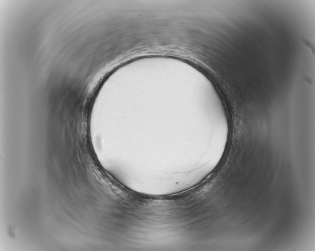 X0000103491506200810101010