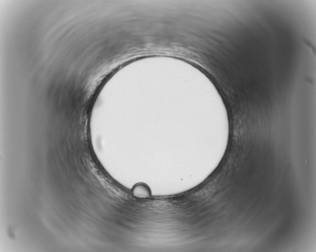 X0000103491507200810101010