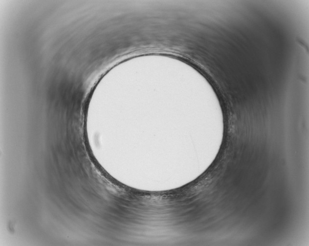 X0000103491508200810101010