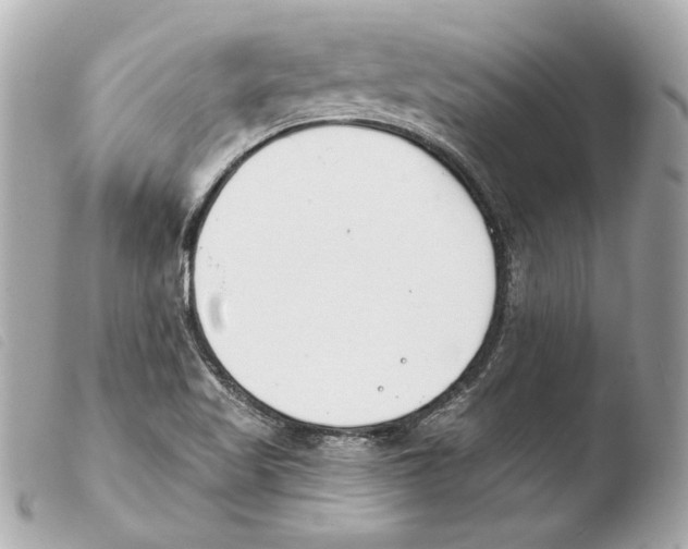 X0000103491509200810101010