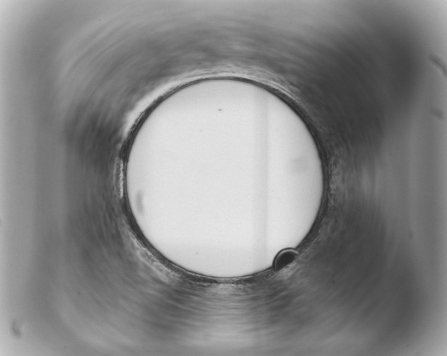 X0000103491510200810101010