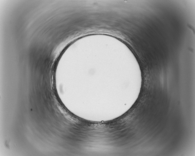 X0000103491511200810101010