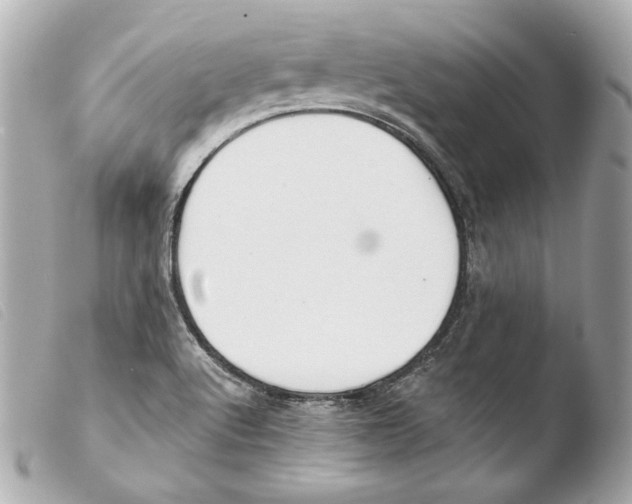 X0000103491512200810101010