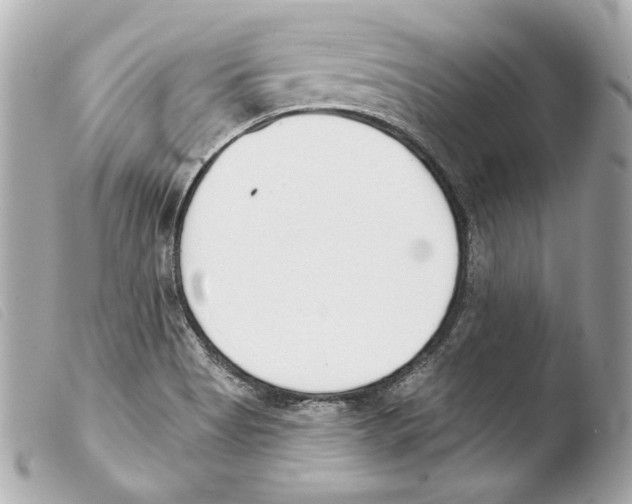 X0000103491513200810101010