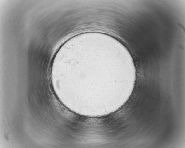 X0000103491514200810101010