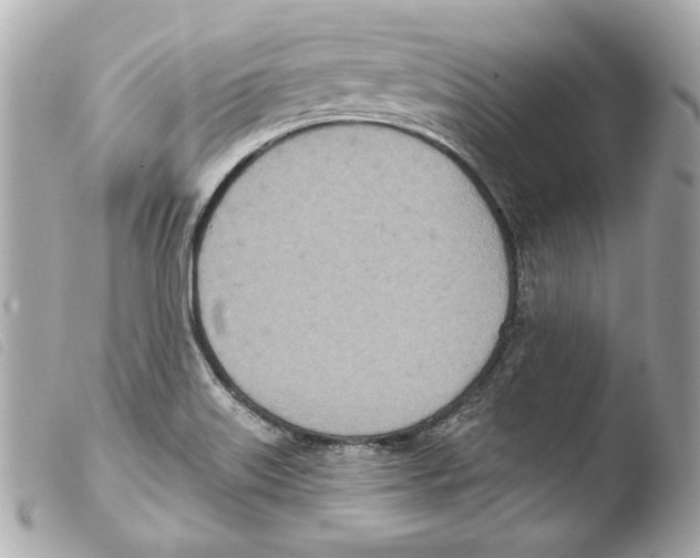 X0000103491515200810101010