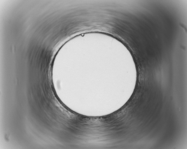 X0000103491516200810101010