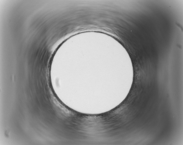 X0000103491518200810101010