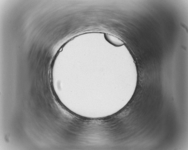 X0000103491519200810101010