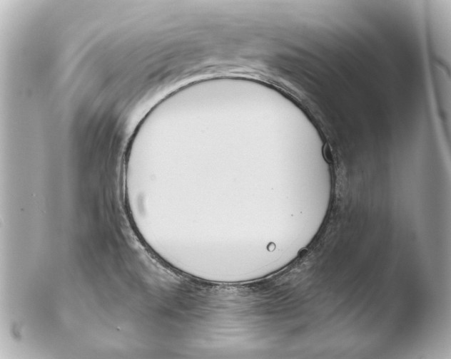 X0000103491520200810101010