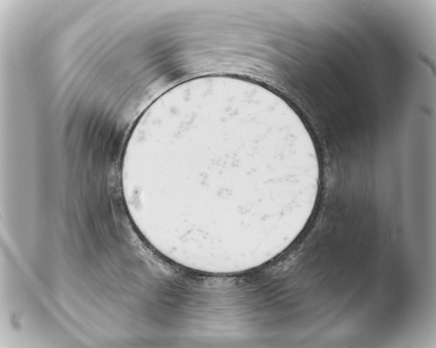 X0000103491521200810101010