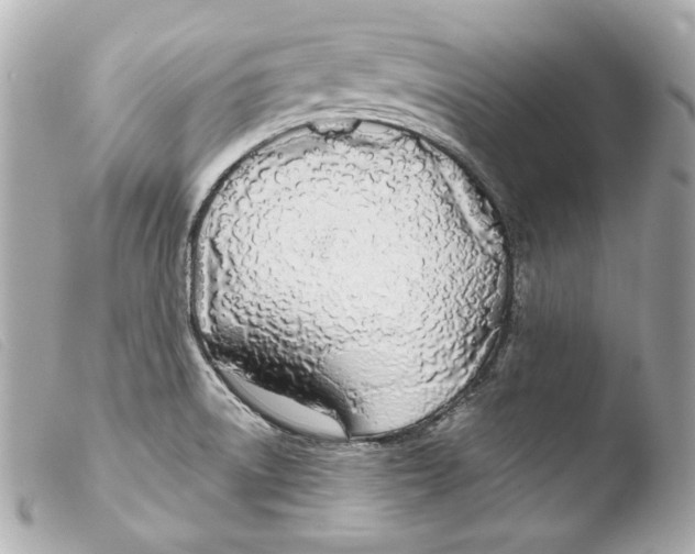 X0000103491522200810101010