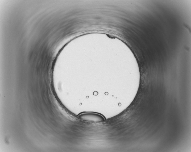 X0000103491523200810101010