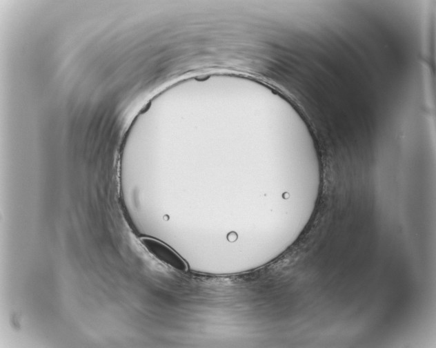 X0000103491524200810101010