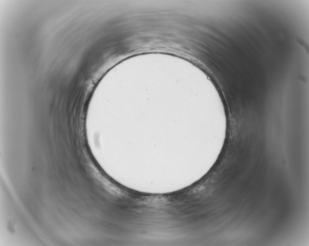 X0000103491525200810101010