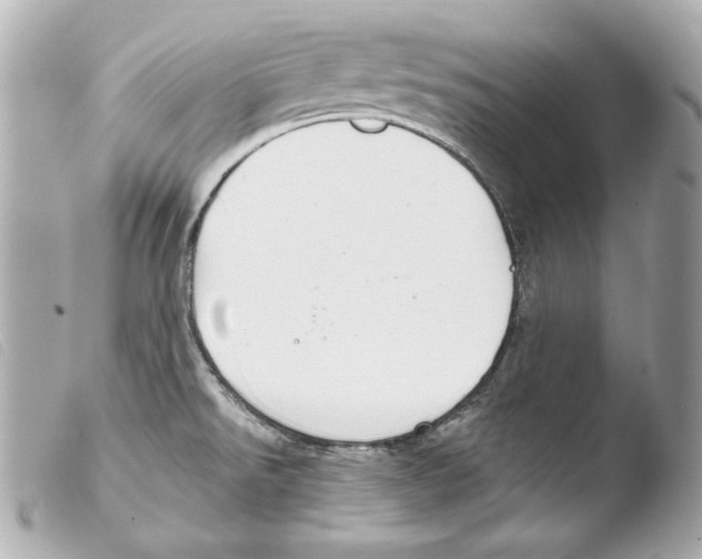 X0000103491526200810101011