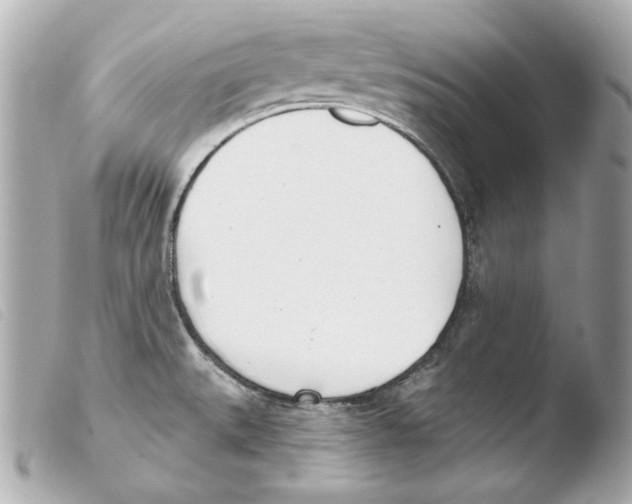 X0000103491527200810101011