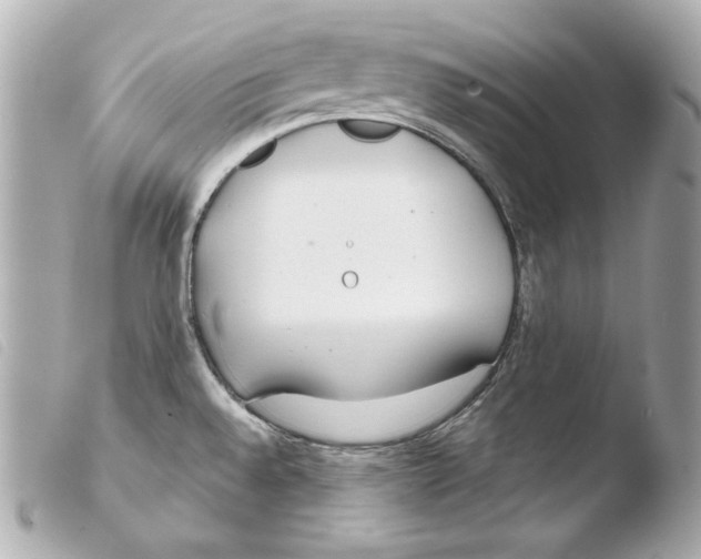 X0000103491528200810101011