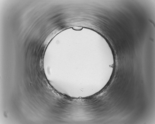 X0000103491529200810101011