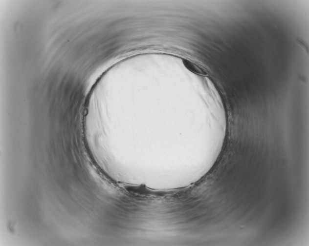 X0000103491530200810101011