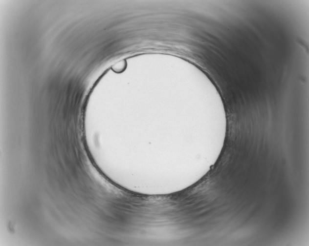 X0000103491531200810101011