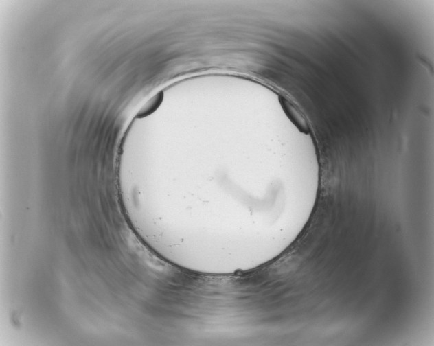 X0000103491532200810101011