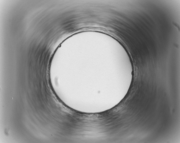 X0000103491533200810101011