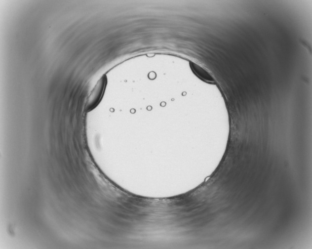 X0000103491534200810101011