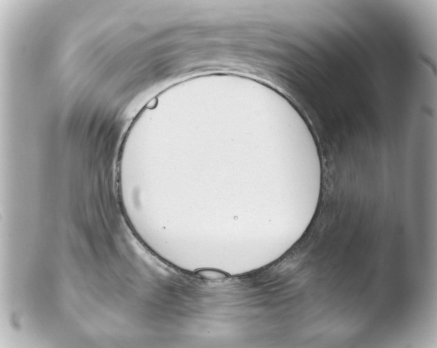 X0000103491535200810101011