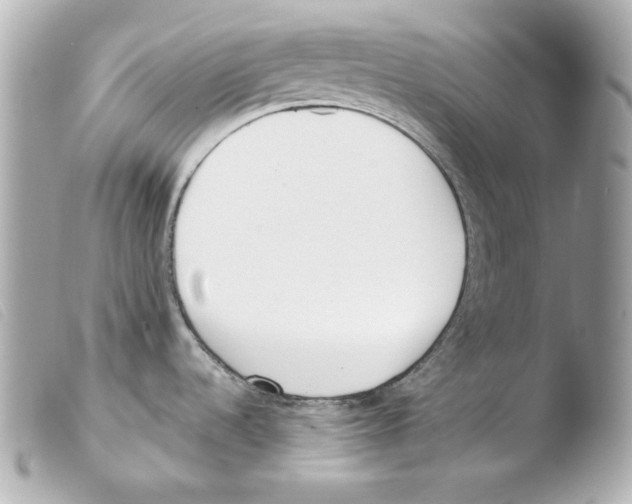 X0000103491536200810101011