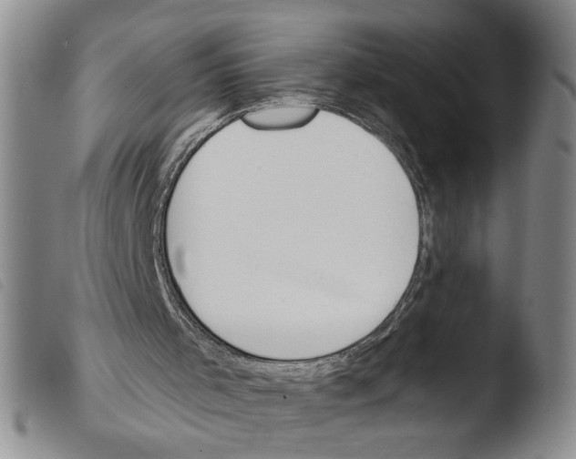 X0000103490001200810241112