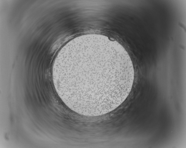 X0000103490002200810241112
