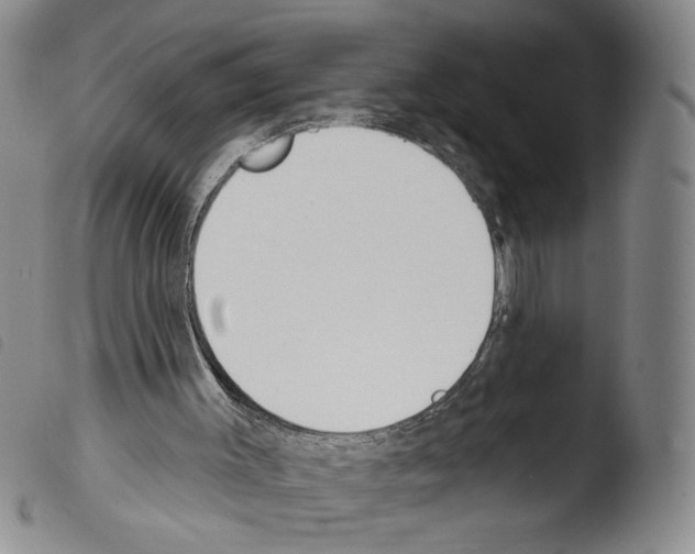 X0000103490003200810241112