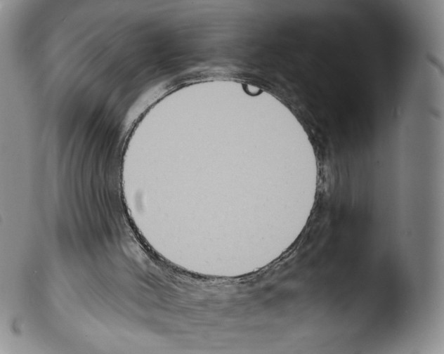 X0000103490004200810241112