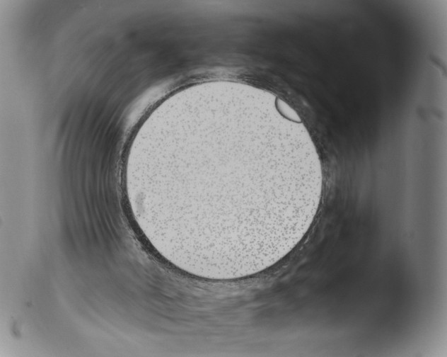 X0000103490006200810241112