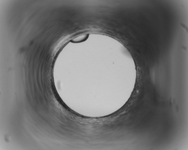 X0000103490007200810241112