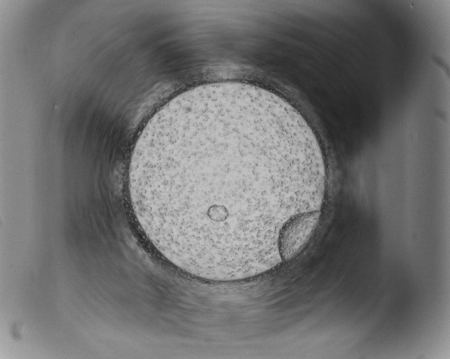X0000103490010200810241112