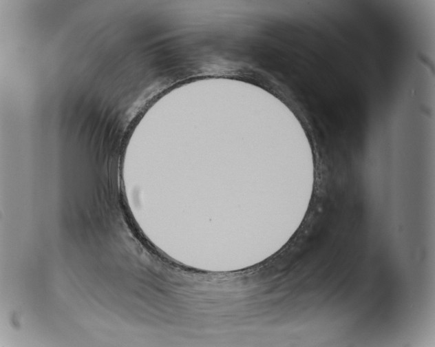 X0000103490011200810241112