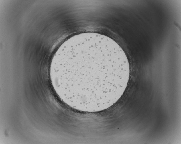 X0000103490012200810241112