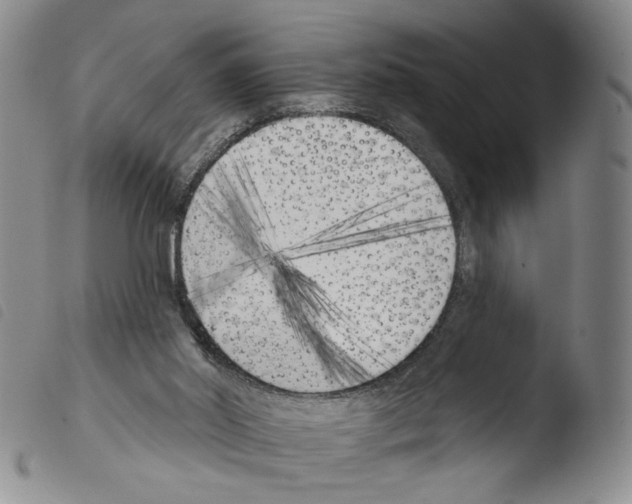 X0000103490014200810241112
