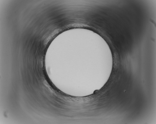 X0000103490015200810241112