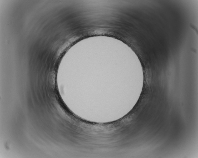 X0000103490016200810241112