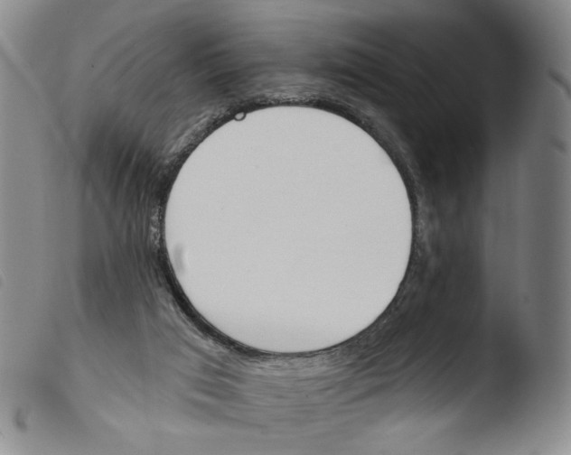 X0000103490017200810241112