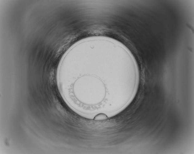 X0000103490018200810241112