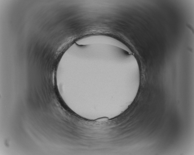 X0000103490019200810241112