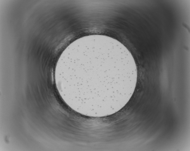 X0000103490020200810241112