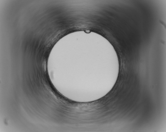 X0000103490021200810241112