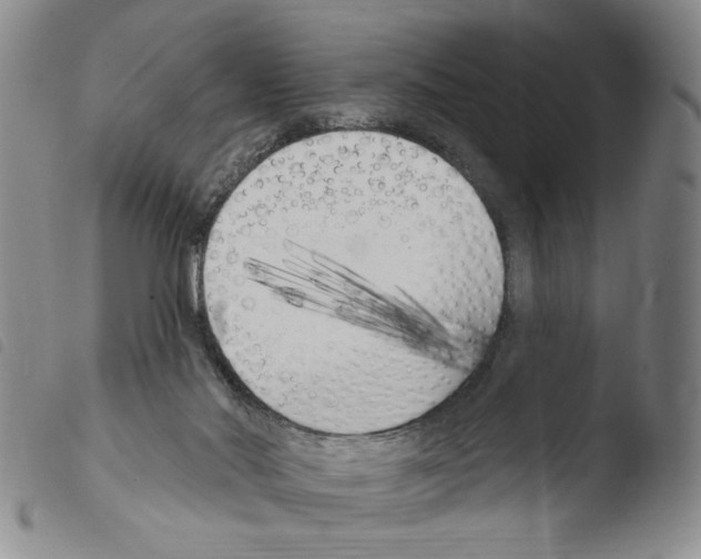 X0000103490022200810241112