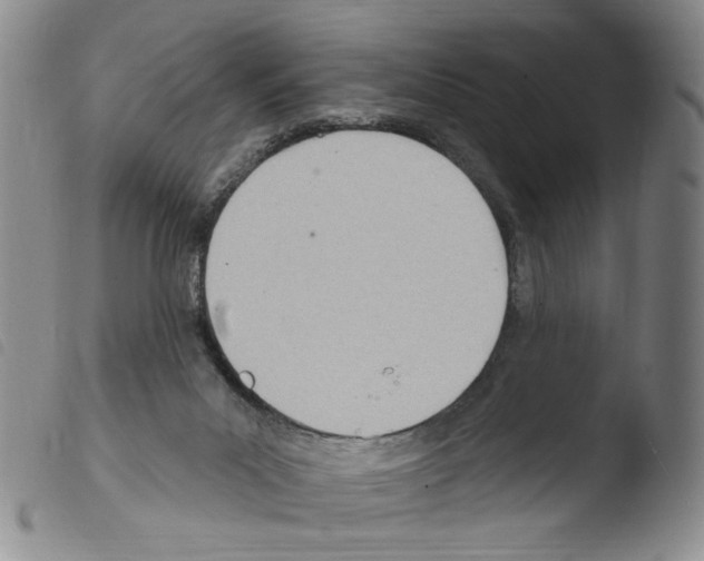 X0000103490023200810241112