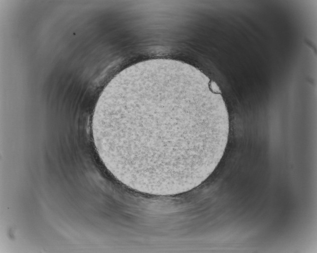 X0000103490024200810241112